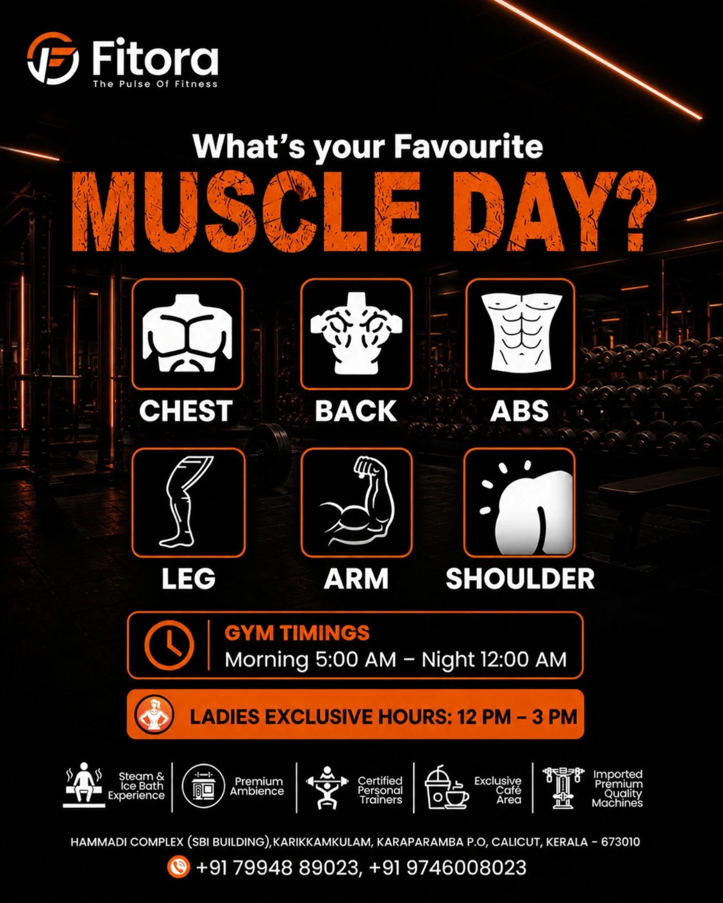 What's your favourite muscle day — Fitora